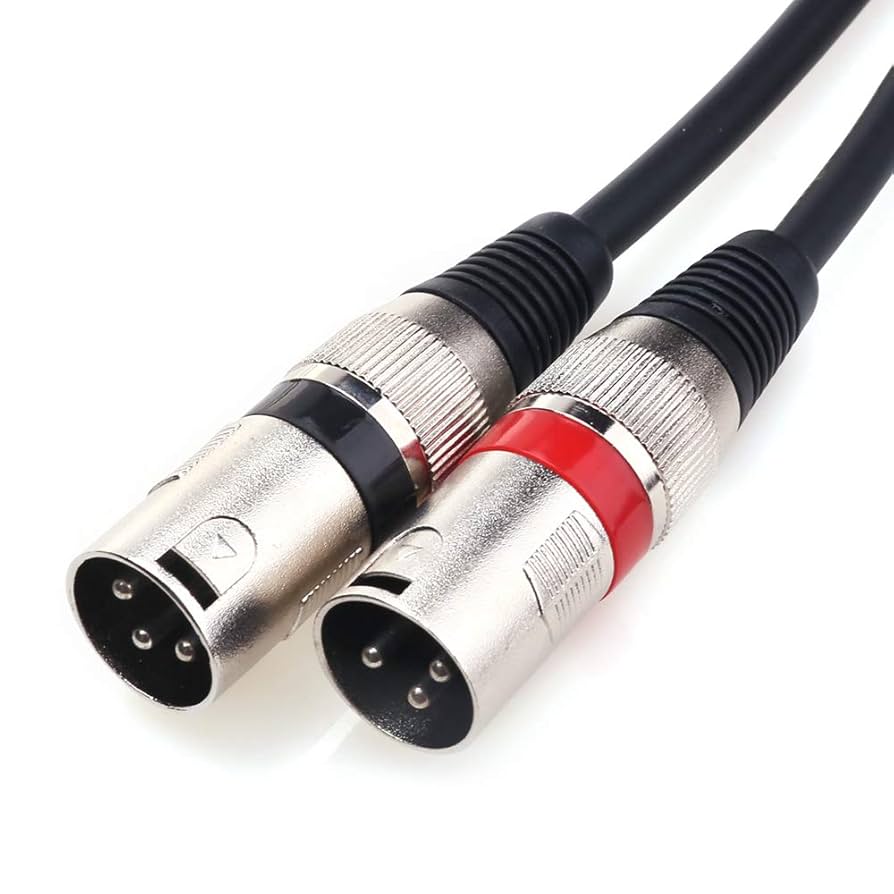 Amazon.co.jp: Disino 1/4 TRS - デュアル XLR オス Y